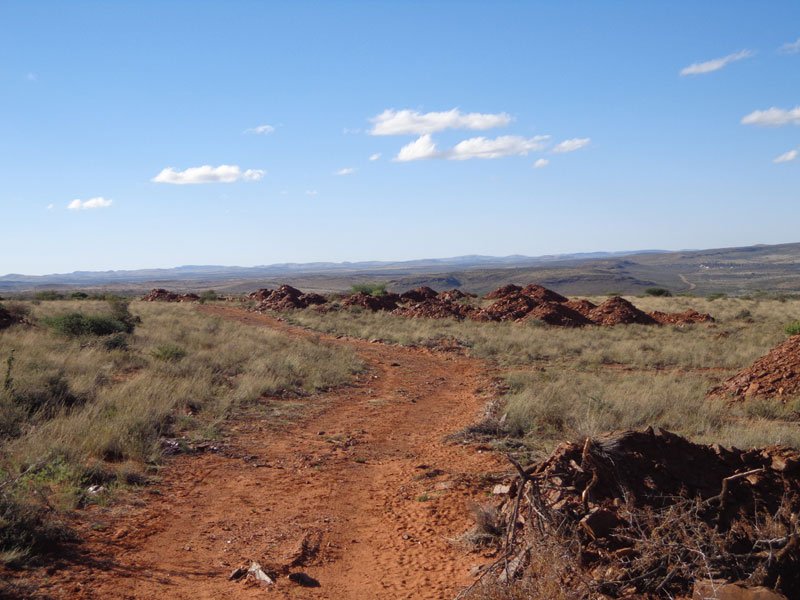 tiger eye mining